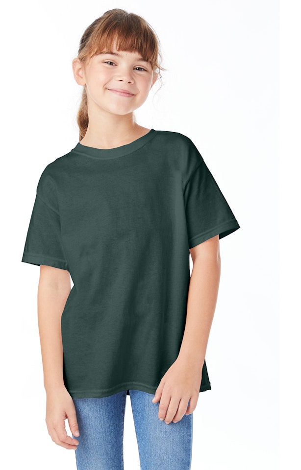 Hanes 5480 5.2 Sleeve Essential T | Jiffy Shirts