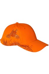 Blaze Orange - Quail