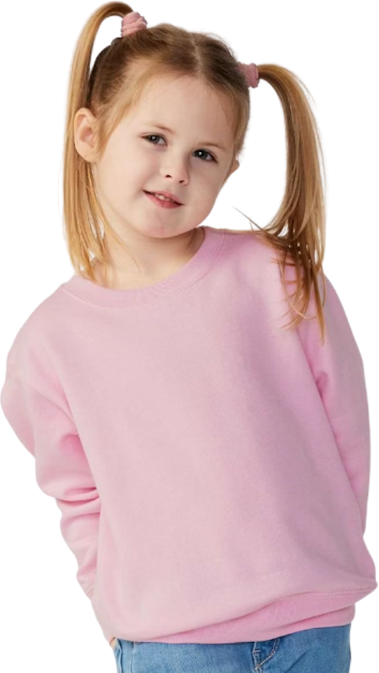 3317 | Fleece Sweatshirt Jiffy Skins Rabbit Shirts Toddler