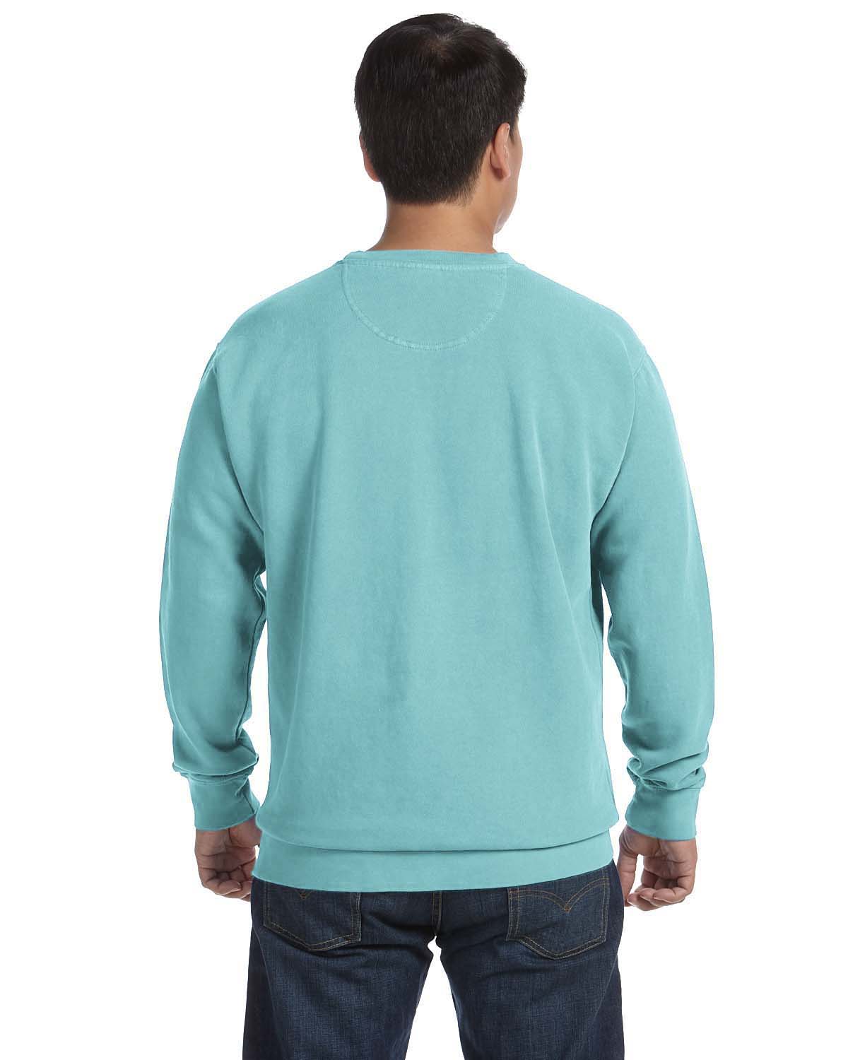 Comfort colors light online green sweatshirt