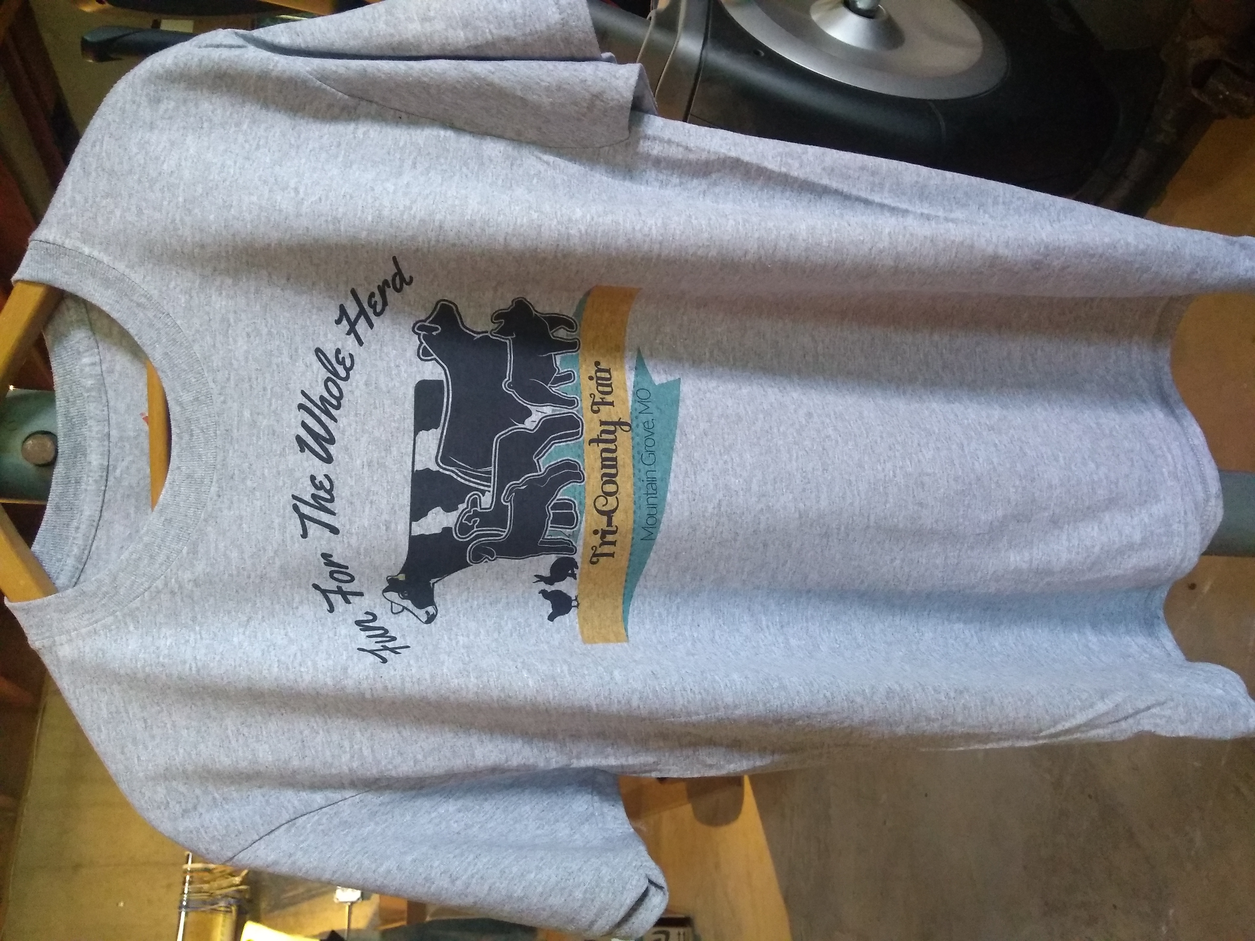 Hanes 5170 EcoSmart Tee — 5.2 Oz 50/50 Cotton/Poly T-Shirt In Teal, Size Small